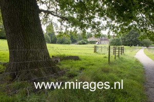 Michael Hall School, West Sussex. England, UK.